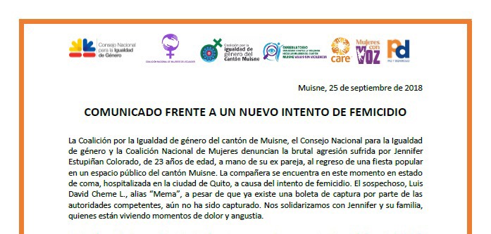 Comunicado frente a un nuevo intento de feminicidio en Ecuador