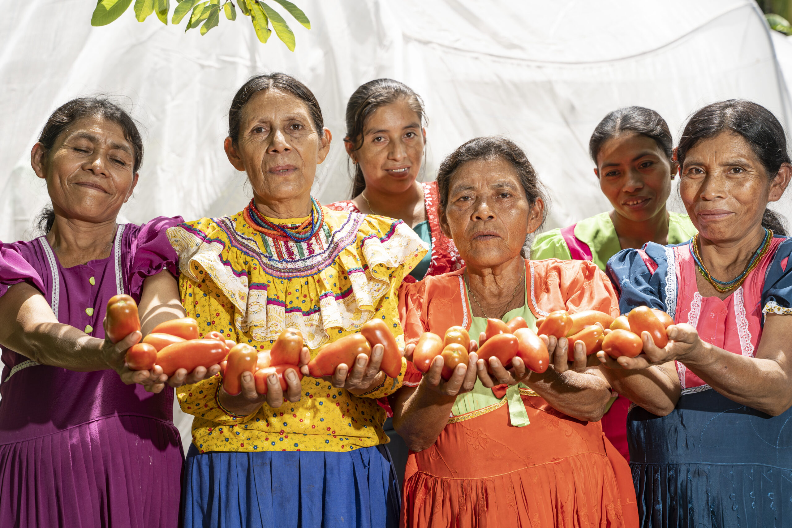 Día Internacional de la Mujer Indígena