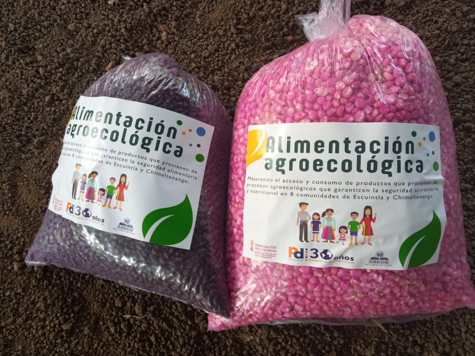 Entrega de semillas y pilones de café en La Dignidad, El Rancho, Unión Maya, La Reina, La Trinidad y Don Pancho en Escuintla