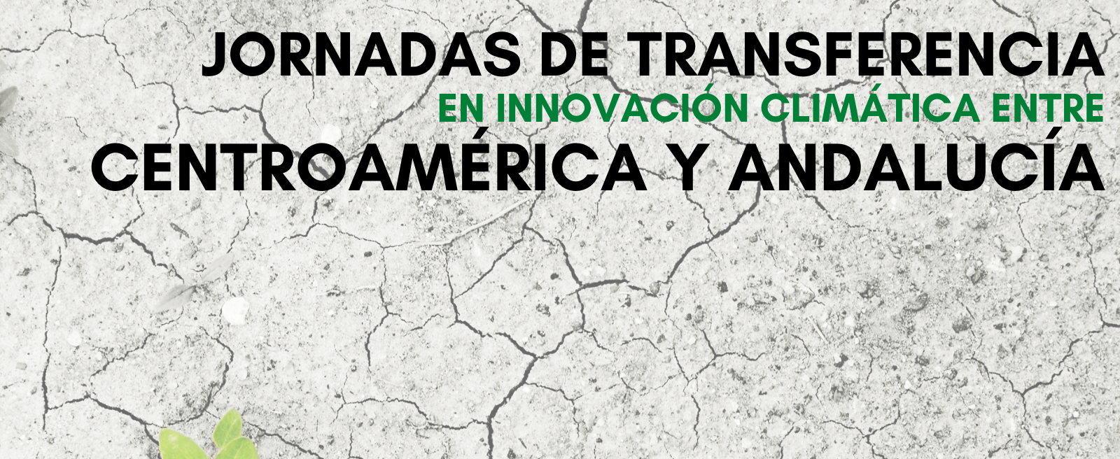Jornadas de Transferencia en Innovación Climática entre Centroamérica y Andalucía