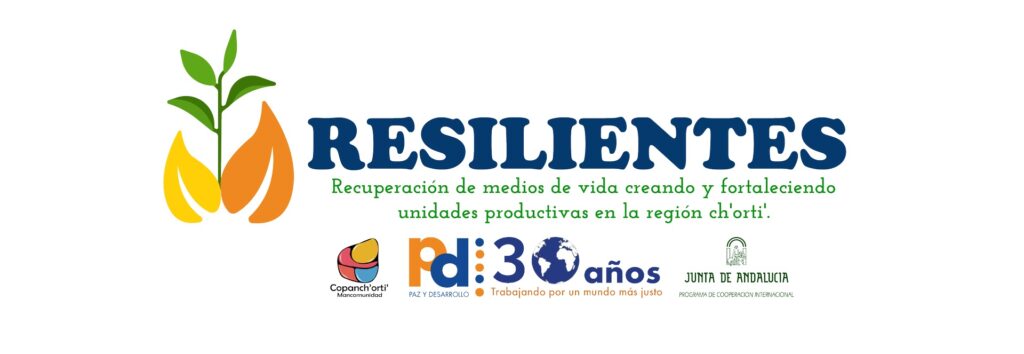 resilienteshorizontal1