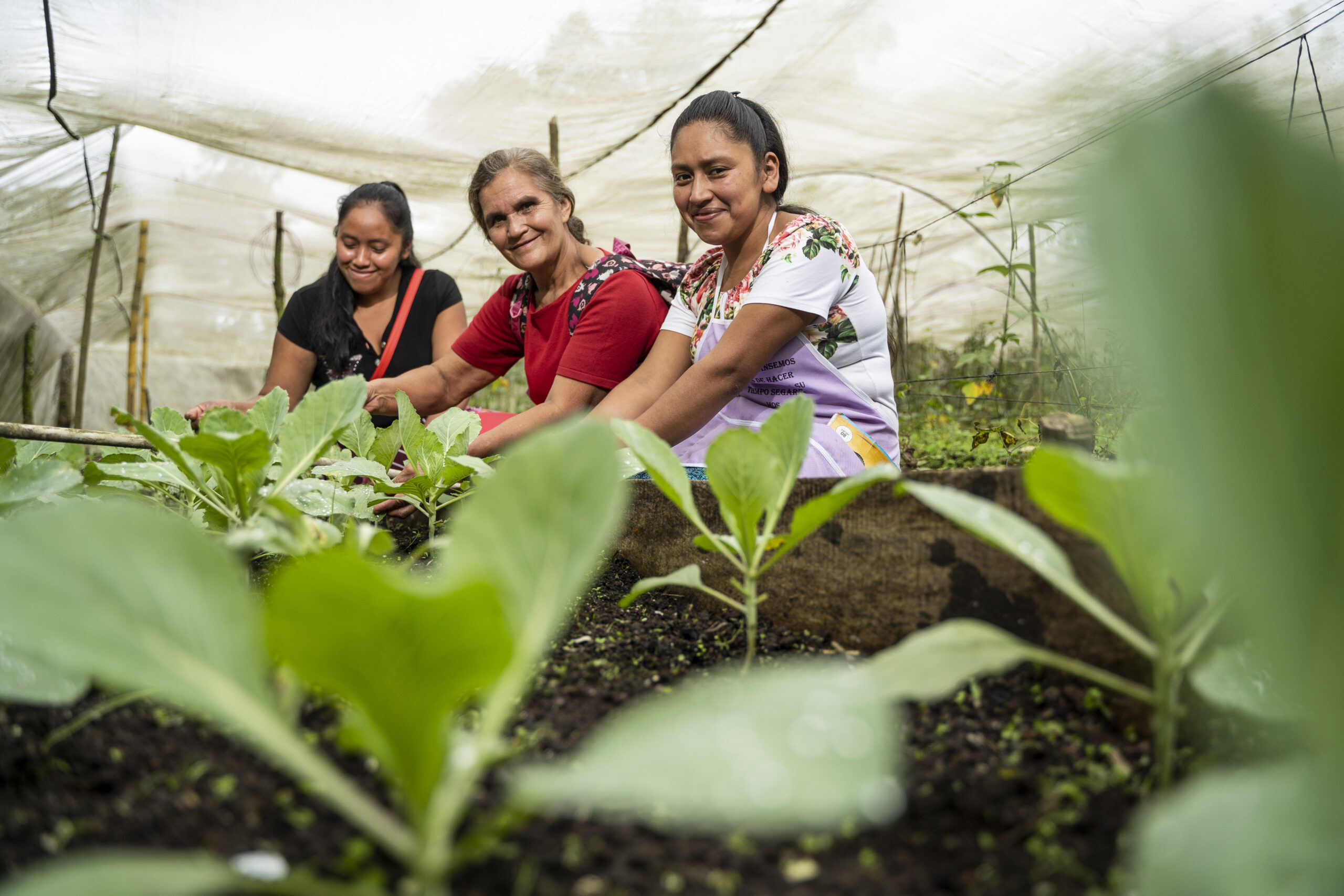 Finaliza el proyecto “Mejorando el acceso y consumo de productos que provienen de procesos agroecológicos que garanticen la seguridad alimentaria y nutricional en 8 comunidades de los departamentos de Escuintla y Chimaltenango, Guatemala”