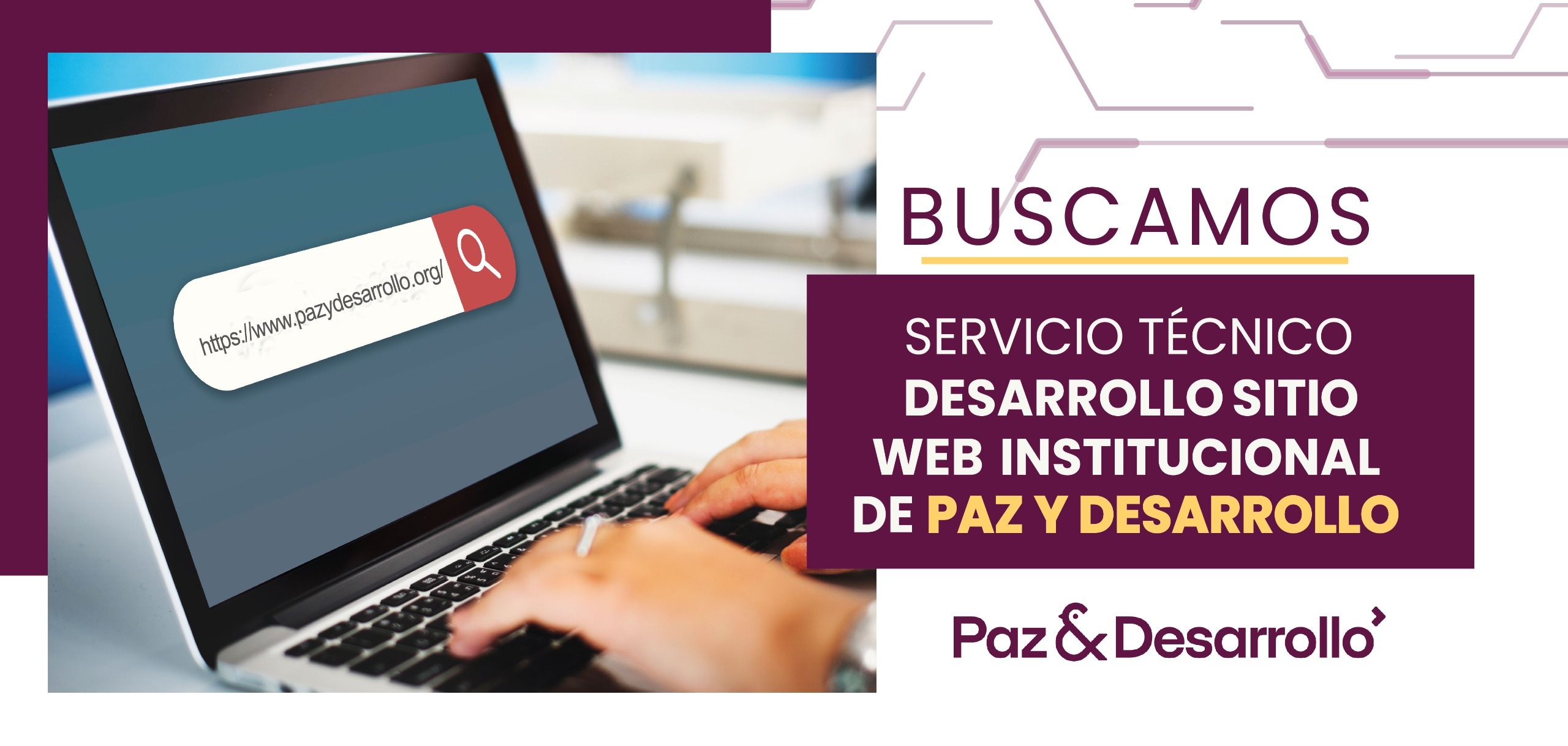 TDR – Servicio técnico desarrollo sitio web institucional pyd