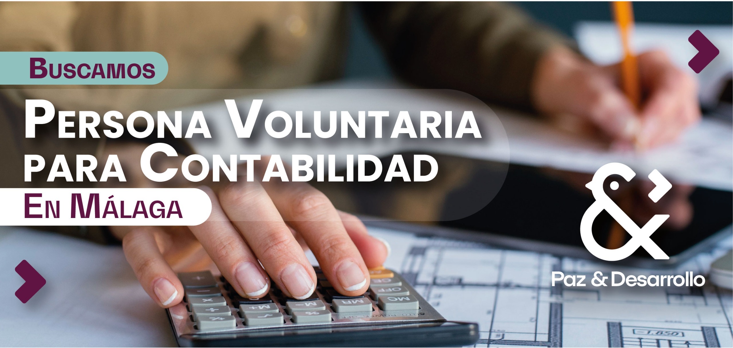 TDR Perfil de Persona Voluntaria para Contabilidad en Málaga